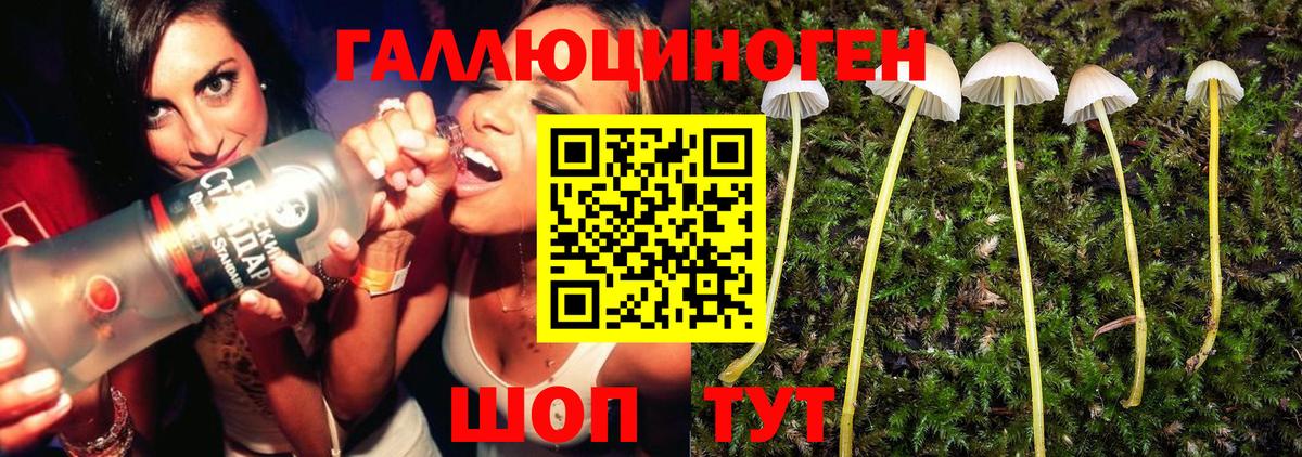 Псилоцибиновые грибы мухоморы  Вход с VPN  Галлюциногенные грибы Psilocybine cubensis  Карабулак 